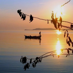 Fisherman at sunset